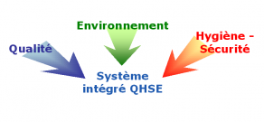 Course Image Système de management intégré (Master EXA)